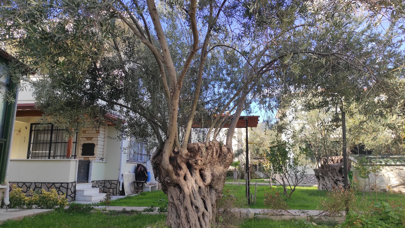 IMG-20240329-WA0018
