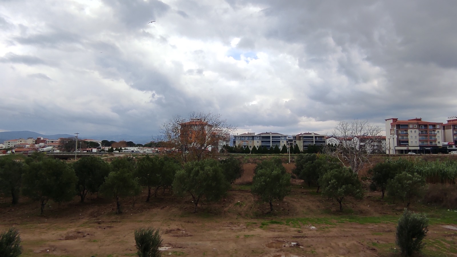 IMG-20240330-WA0079