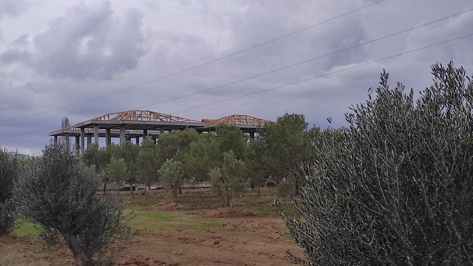 IMG-20240330-WA0082