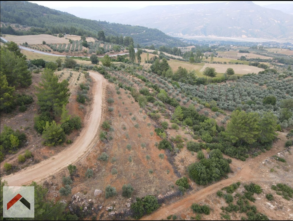 MUĞLA ESENÇAYDA SATILIK TARLA