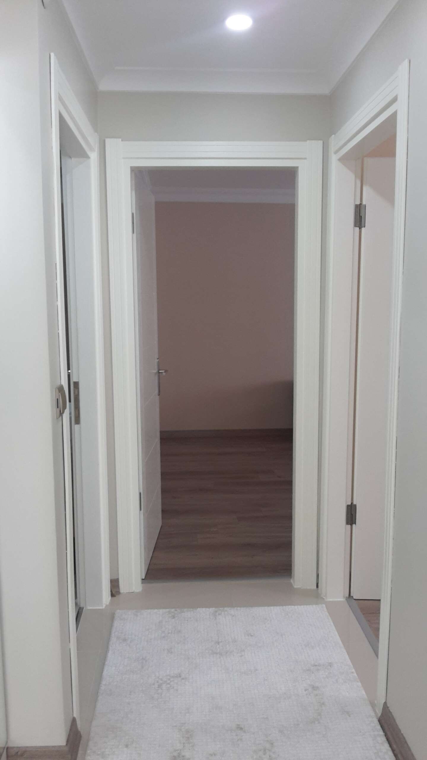 RESİMLER 530